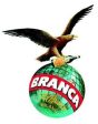 Fernet-Branca Amaro Liqueur For Sale