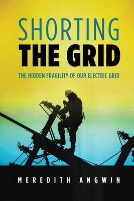 Shorting the Grid: The Hidden Fragility of Our Electric Grid on Sale