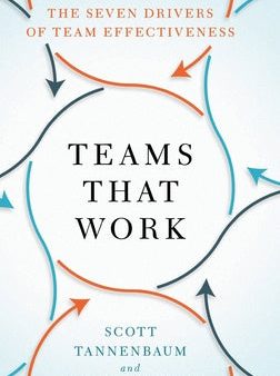 Teams That Work: The Seven Drivers of Team Effectiveness Cheap