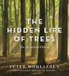 Hidden Life of Trees: The Illustrated Edition, The Supply