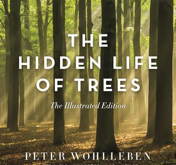 Hidden Life of Trees: The Illustrated Edition, The Supply