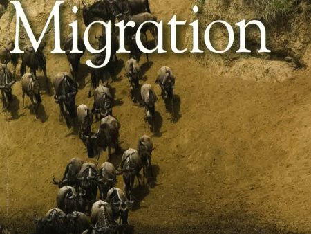 The Great Migration Online Hot Sale