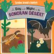 A Day And Night In The Sonoran Desert For Discount