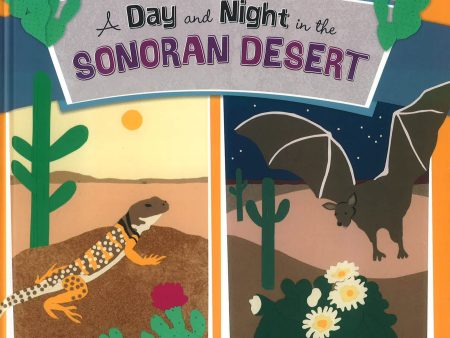 A Day And Night In The Sonoran Desert For Discount