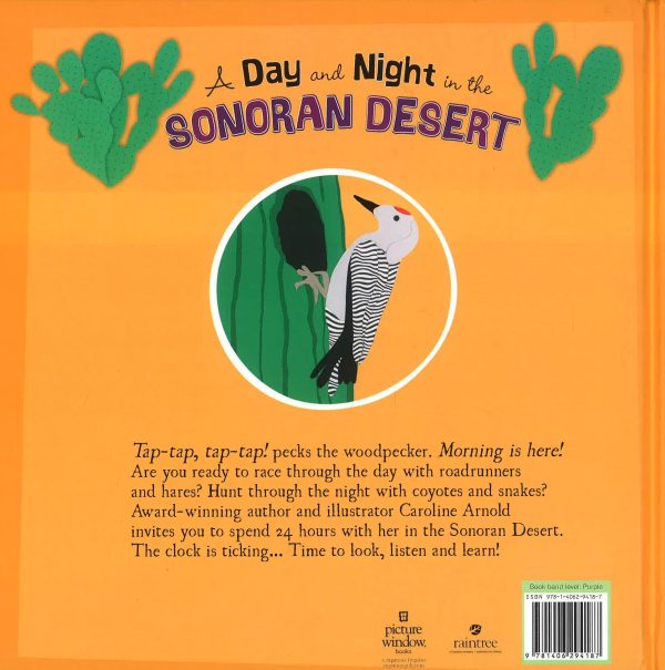 A Day And Night In The Sonoran Desert For Discount